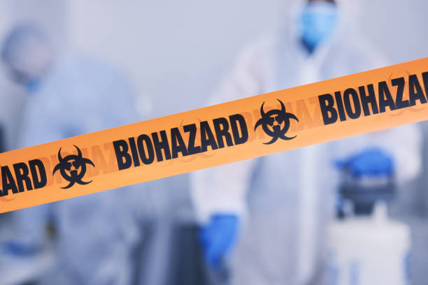 Professional Hoarding Cleanup technician working in Black Diamond, WA